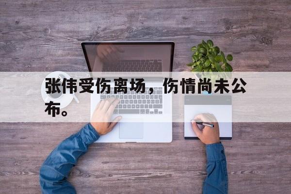 AC Milan Sports-张伟受伤离场，伤情尚未公布。