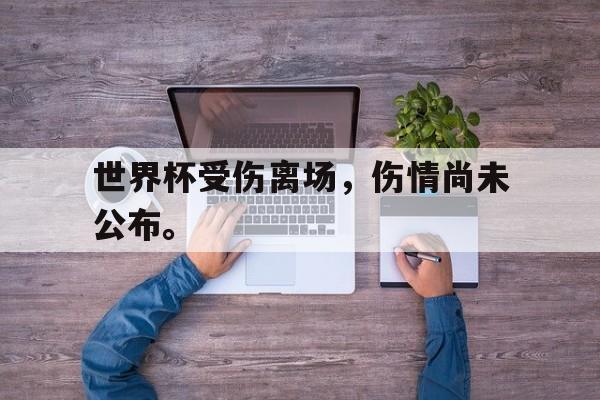 米兰体育-世界杯受伤离场，伤情尚未公布。